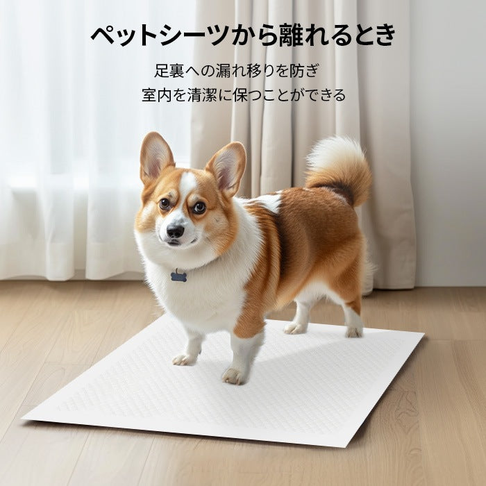 <a href="https://www.qoo10.jp/gmkt.inc/Search/brand.aspx?brandno=109151" target="_blank" class="title_brand" id="btn_brand" title="Honeycare">Honeycare</a>急速発送 ペットシーツ 中厚型 レギュラー 100枚 ワイド 50枚 スーパーワイド 25枚 トイレシーツ ペットシート 犬 猫 トイレ用品