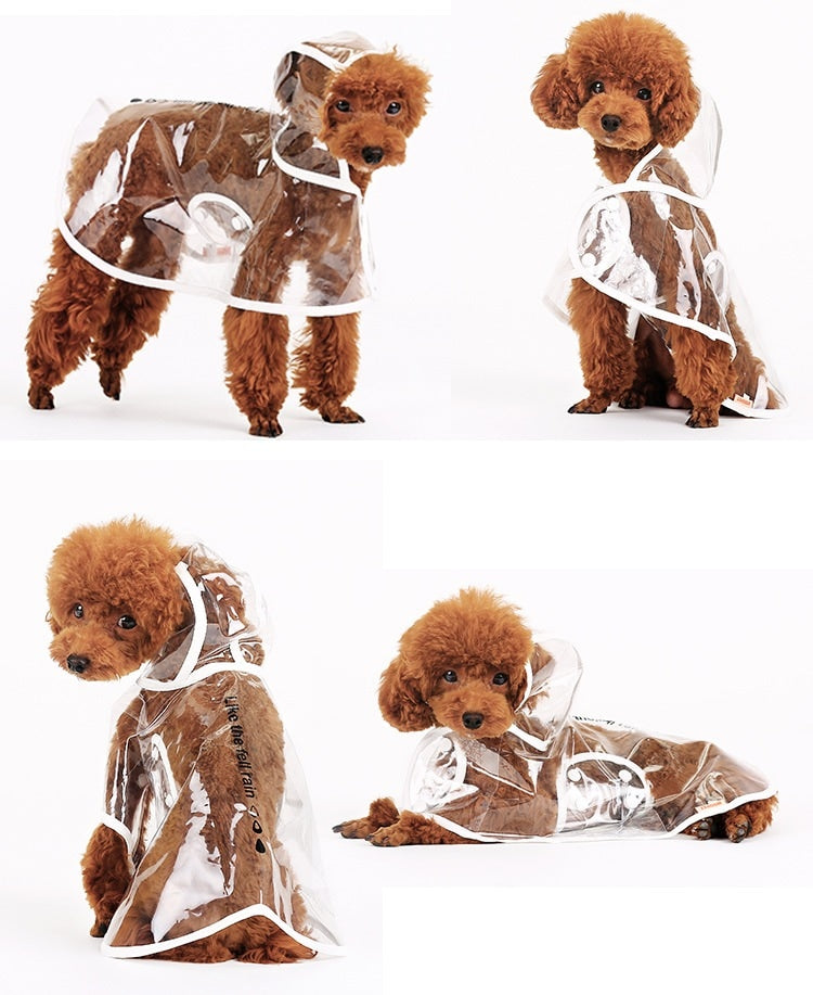 レインポンチョ 犬 レインコート 犬用 大型犬 中型犬 小型犬 ネコ用 猫 ネコ キャット ペット 雨具 カッパ かっぱ