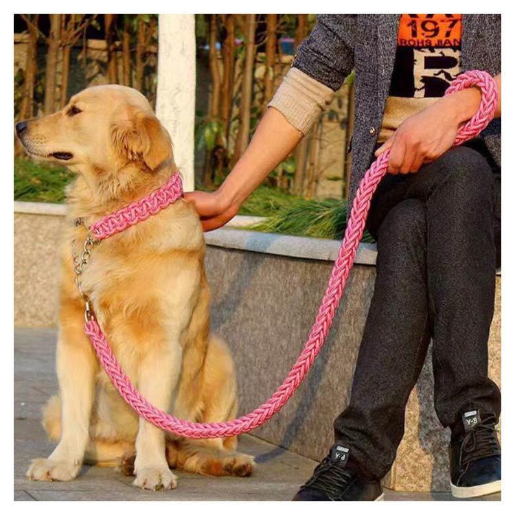 首輪付きリードセット セット ハーフチョーク 全11色×4サイズ XL + しつけ ペット 首輪 犬 中型犬 大型犬 パラコード S M L リード