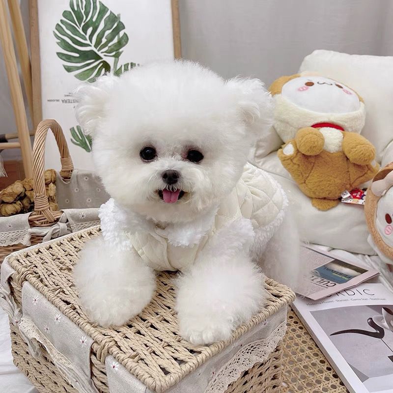 新作入荷 犬 服 犬服 春 秋 ペット服 犬 洋服 ペット服春秋新作厚手綿コートジャケット犬猫暖かいカーディガン