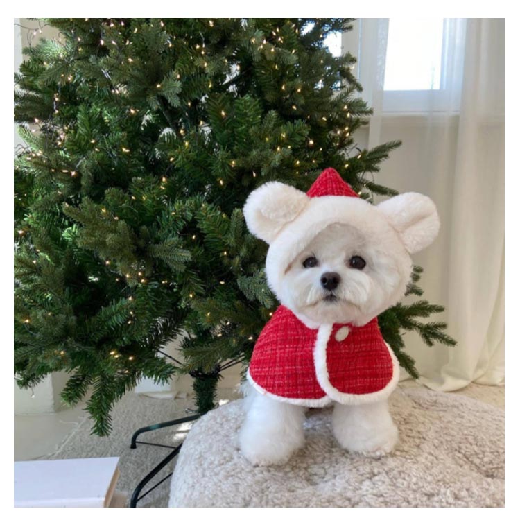 売れ 犬の服 クリスマス クリスマス 猫 フード付き 服 犬 犬服 ペット服 猫服 サンタさん コスチューム 着ぐるみ 犬服 クリスマスマント 犬用 猫用 マント マント サンタローブ コスプレ サン