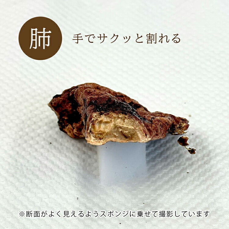 エゾシカ 肺 10g ルークラン