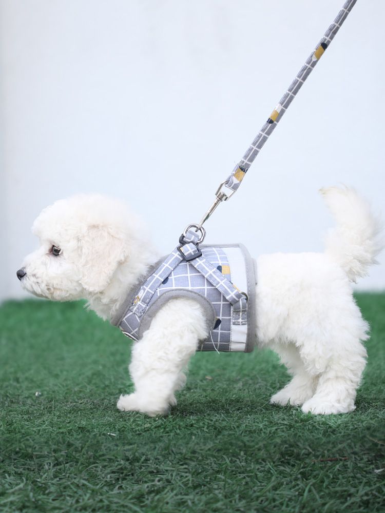 背心式犬牽引紐テディ比熊小型犬胸背ドッグラン子犬チェーンペット用品