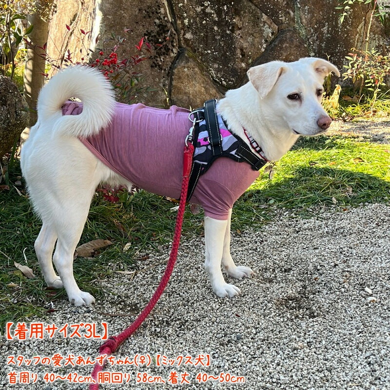 <a href="https://www.qoo10.jp/gmkt.inc/Search/brand.aspx?brandno=125763" target="_blank" class="title_brand" id="btn_brand" title="Coo Couture">Coo Couture</a>SWDテラヘルツワンベルクロTシャツペット介護 犬用ペットウェア 中型犬 大型犬 犬服 テラヘルツワン クークチュール 2メ-3運 12137 【T】