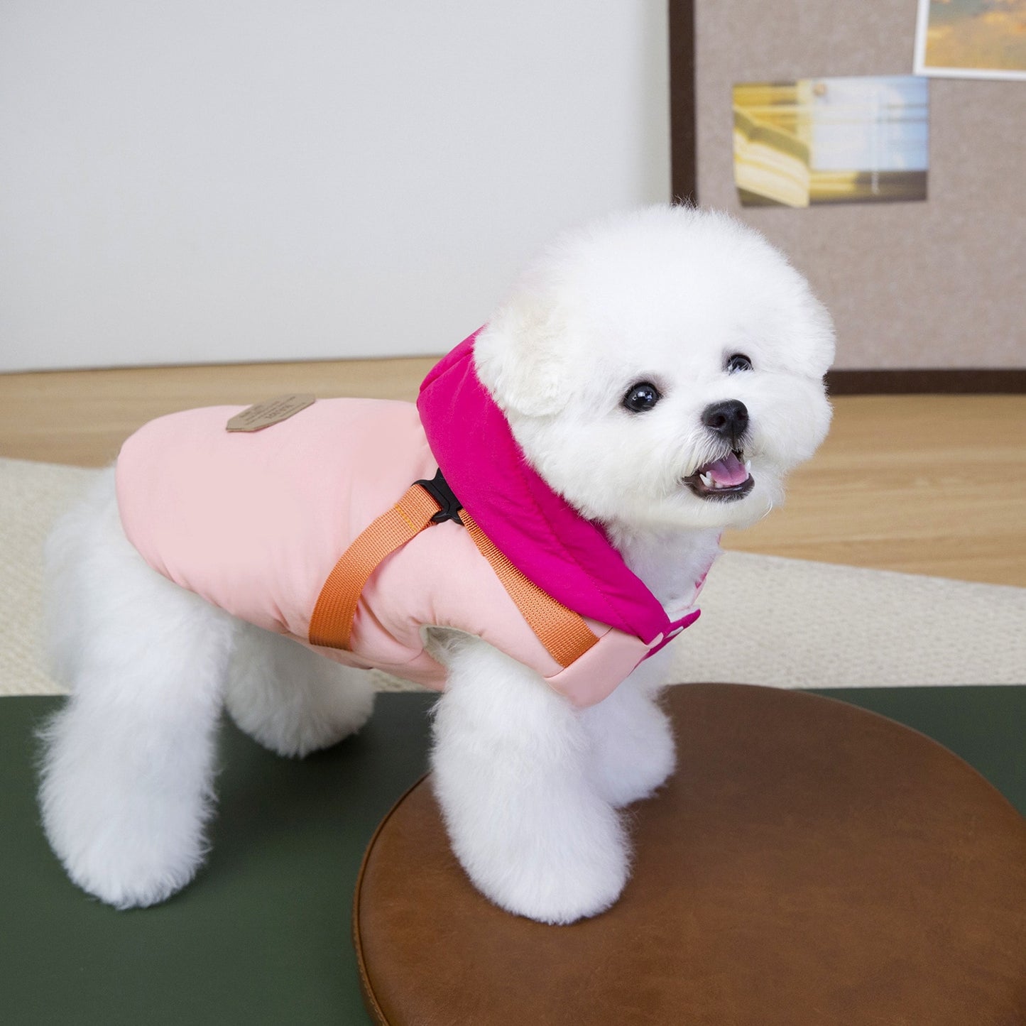 猫 犬 洋服 犬服 ペット服 大中小型犬 ペット用品 犬/猫用 犬の服 ペットウエア 小型犬 中型犬 通気 可愛い ドッグウェア トレーナー 犬 服 ワンピース サロペット ビションフリーゼ 犬猫服