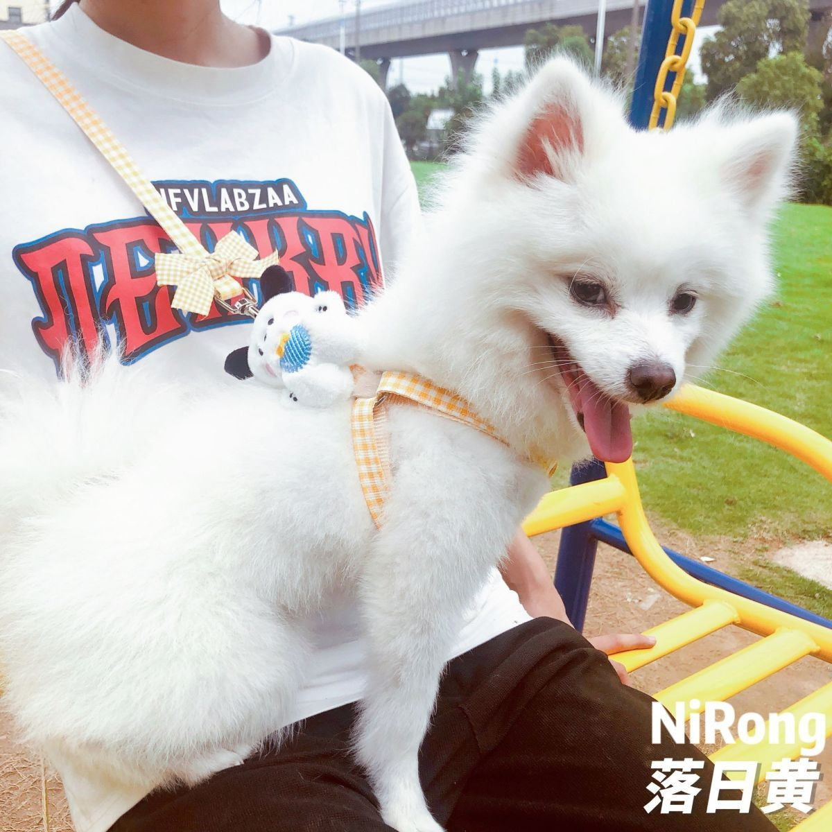 メガ割犬牽引ロープ漫画散歩犬牽引ロープ胸ストラップ屋外犬ロープ犬チェーン猫ロープ猫博美テディ963