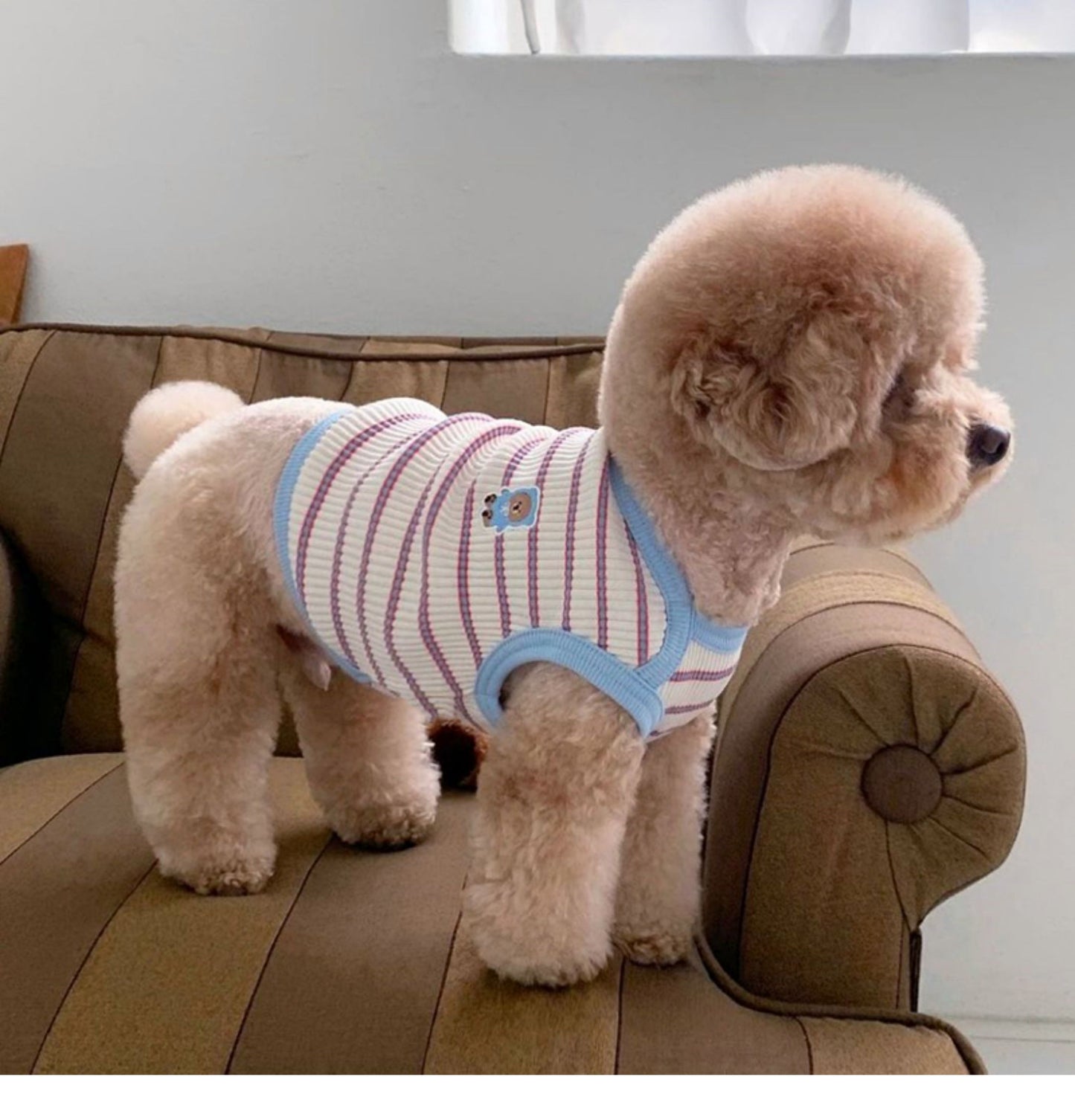 春夏新作 犬服 ペット服 犬 洋服 ペット 犬用品 小中型犬 夏薄型ペットベスト猫小型子犬犬服夏
