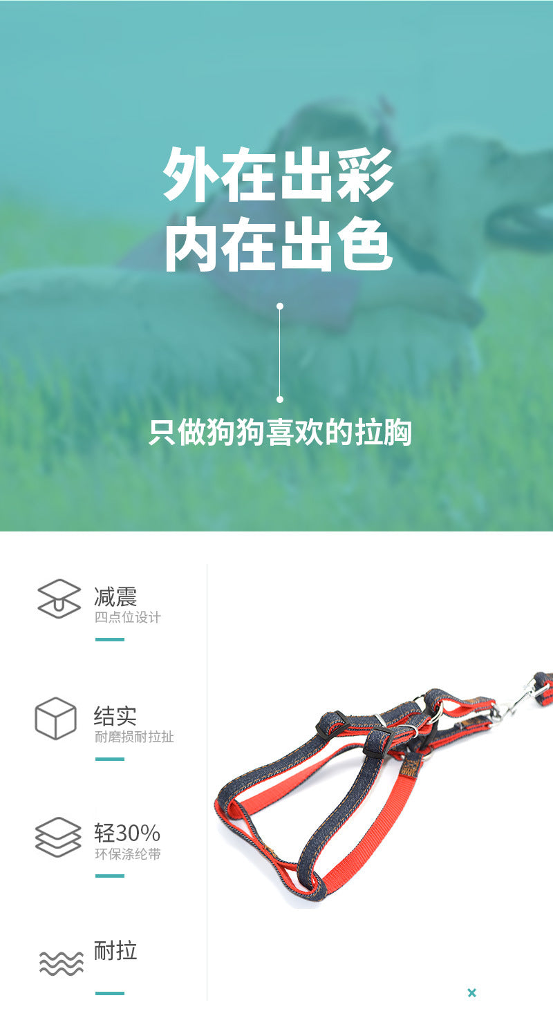 犬 ペットハーネス 2点セット お出かけ 軽量 犬用 ペット用品 中型犬 リーシュ リード 152 ネコ用ハーネス 簡単装着 シンプル ハーネス 犬用ハーネス 猫用 おしゃれ お散歩 小型犬 胴輪 ハ