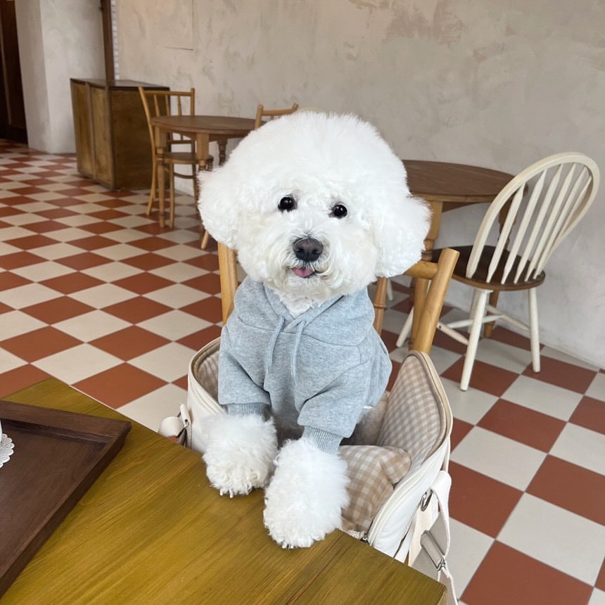【新作犬猫服 登場】 犬服 ペット服 犬 洋服 春と秋の新しい犬の服小さな子犬のフード付きトレーナー猫アパレル