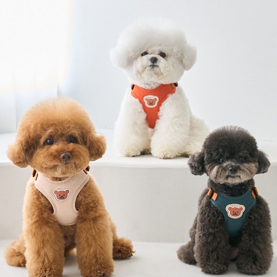 ペット胸ストラップ牽引セット小型犬外出ベスト式牽引ロープ通気テディ熊犬ロープ メガ割ワンピースパンツトートバッグ