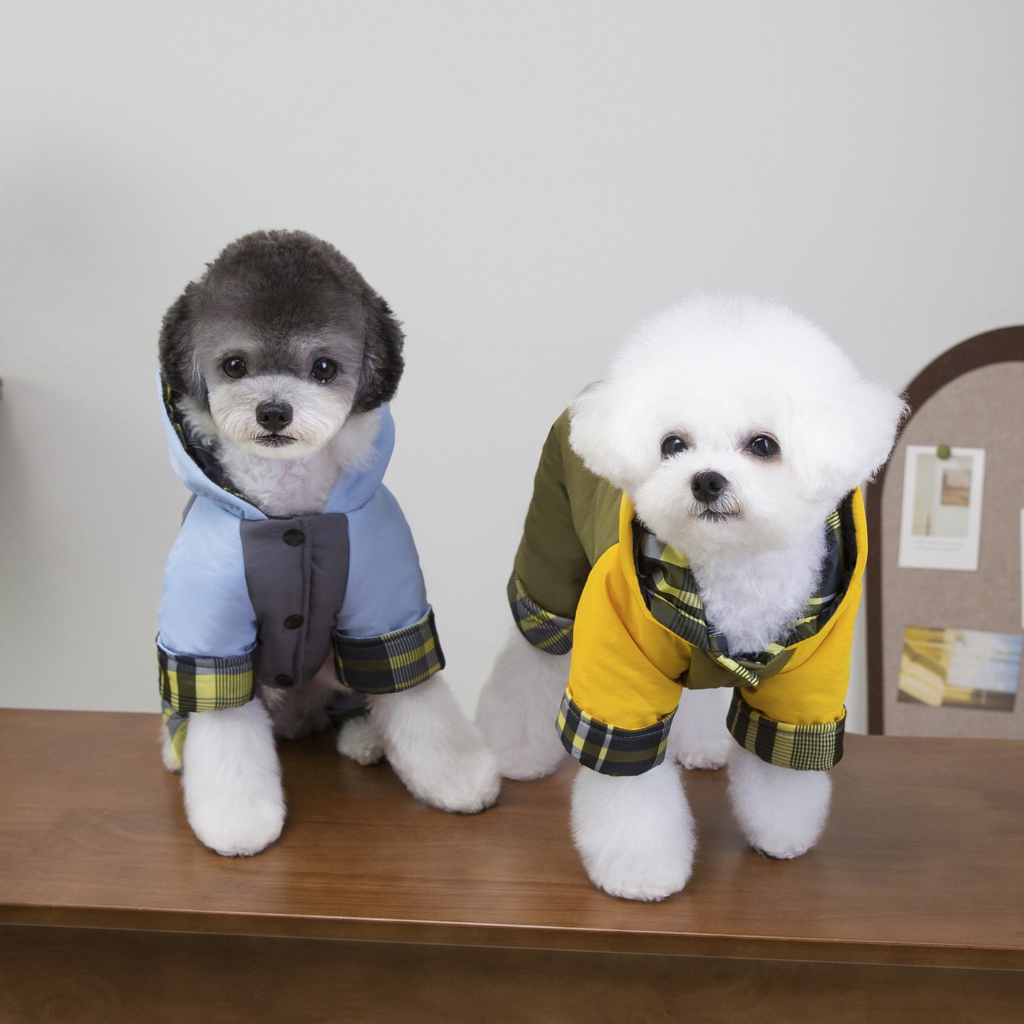 猫 犬 洋服 犬服 ペット服 大中小型犬 ペット用品 犬/猫用 犬の服 ペットウエア 小型犬 中型犬 通気 可愛い ドッグウェア トレーナー 犬 服 ワンピース サロペット ビションフリーゼ 犬猫服