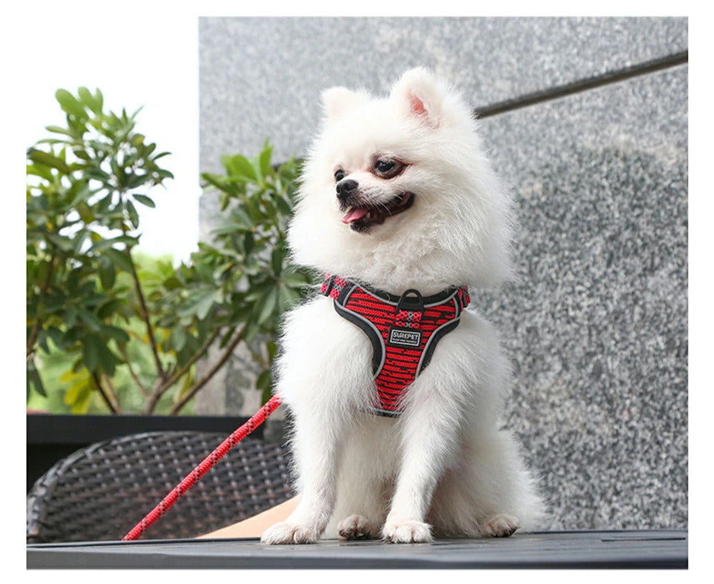 すぐに発送可能 ハーネス 犬用ハーネス リード 犬用リード お散歩リード お散歩 お洒落リード スタイリッシュ ワンタッチ ベスト 犬 イヌ 小型犬 中型犬 反射テープ サイズ展開豊富 カラー展開豊