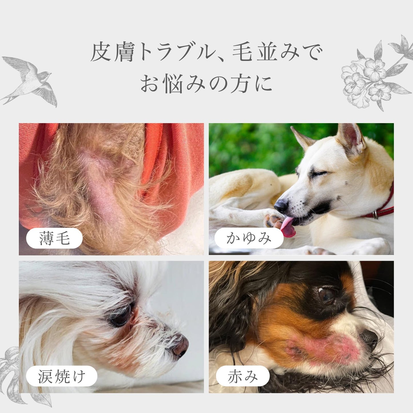 犬用 ゼリー サプリメント ペット用 被毛ケア 栄養ゼリー アナツバメの巣 保健成分 コラーゲン 糖鎖 シアル酸 保湿 水分補給 経口補水液 天然 無添加 さつまいも風味 国産 30本入 1本12g