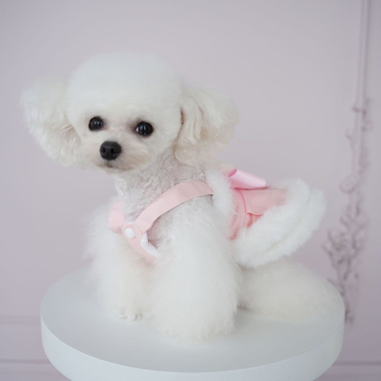 犬の服ペット犬服秋冬新作ファーボーダースリングベアドレステディビションコーギー服