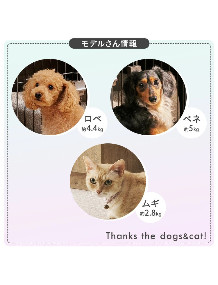 沸騰新柄追加 用おむつ ペット用オムツ ペット おむつ オムツ 紙オムツ犬 猫 犬用オムツ 犬用おむつ パンツ サニタリー ペット オス メス トイレ 脱げにくい 全4サイズquma