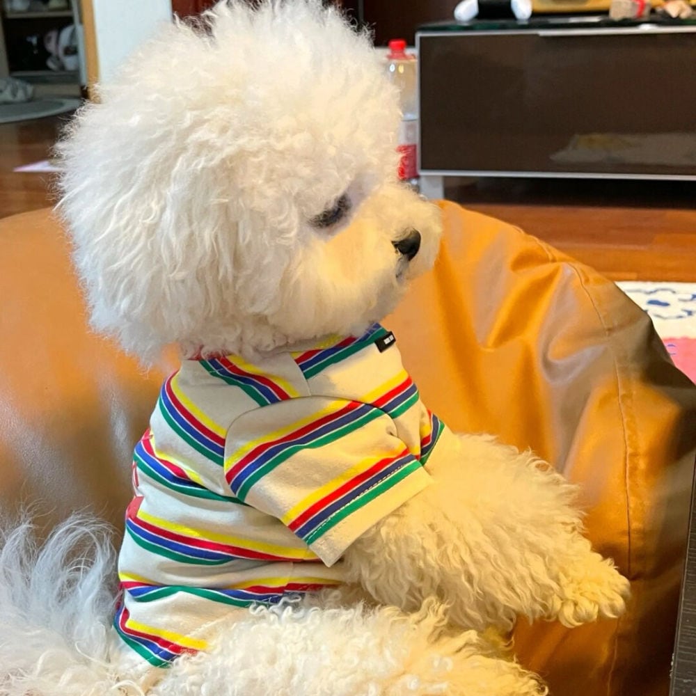 夏用 シンプルストライプ犬服 薄手 通気性抜群 トイ・プードル ビションフリーゼ ポメラニアン 子犬用 犬 服 犬 服 犬服 犬の服 ペット用品 ハーネス 小型犬