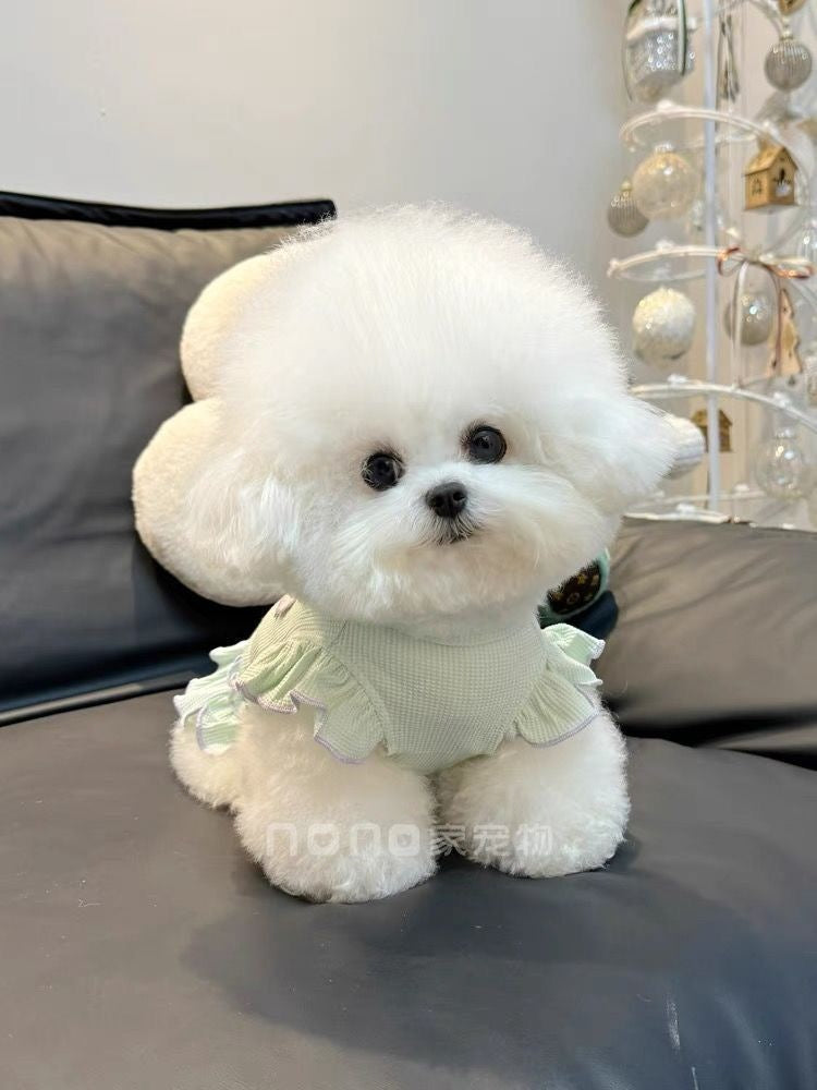 ペット猫 テディ かわいい 通気性の良い服 ビションフリーゼ 犬服 春夏新作 ワッフル 犬 服 犬の服 犬 洋服 犬の服夏 犬洋服