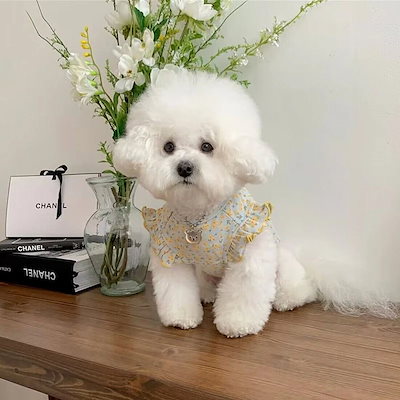 春夏新作 犬服 ペット服 犬 洋服 ペット 犬用品 小中型犬 ペット夏薄型犬猫子犬服