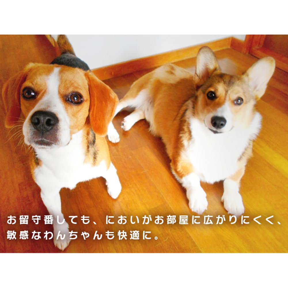 アイリスオーヤマ(IRIS OHYAMA) さらさらメッシュシーツ 小型犬・中型犬 ワイド 50枚