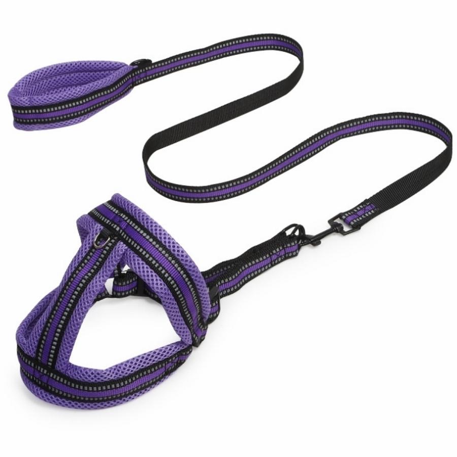犬 ハーネスリード H型 リード付 ハーネス 犬用 首輪 小型犬 セット 胴輪 反射材