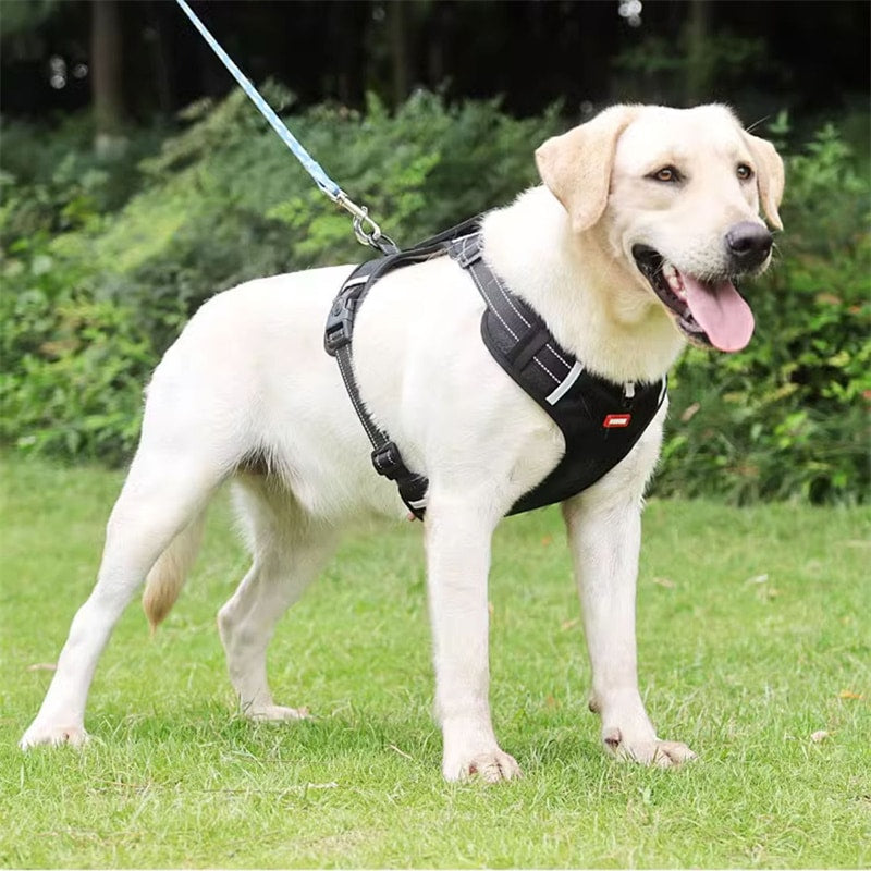 犬ハーネス 犬用 ハーネス 犬用胴輪 反射材料付き 装着簡単 喉にやさしい 小型犬 大型犬 散歩/訓練/お出掛 ペット はーねす 安全 抜けない 軽量 調節可能