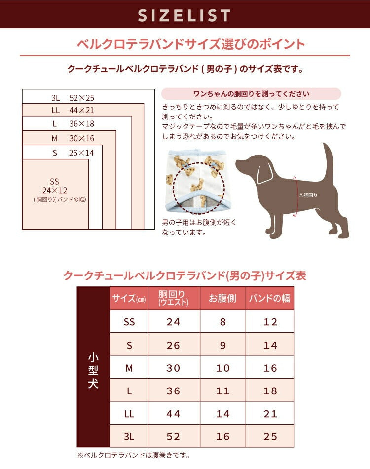 <a href="https://www.qoo10.jp/gmkt.inc/Search/brand.aspx?brandno=125763" target="_blank" class="title_brand" id="btn_brand" title="Coo Couture">Coo Couture</a>テラヘルツワンベルクロテラバンド男の子用ペット介護用品 犬用 腹巻 小型犬 シニア犬 犬服 テラヘルツワン 日本製 メール便1点まで 1メ-2運 7220 【T】