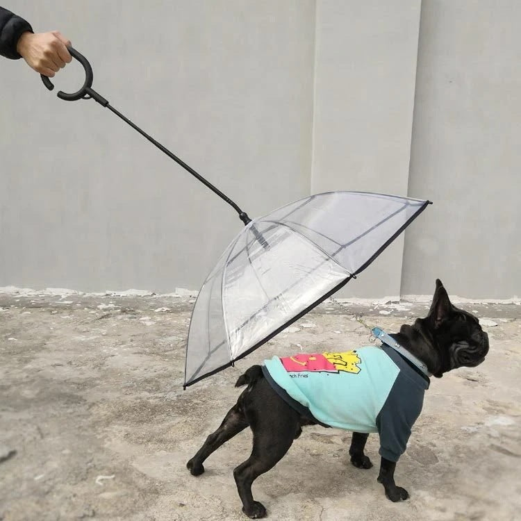 雨具 ペット用 散歩 クリア 犬 中型犬 いぬ お出かけzq リード付き傘 アンブレラ レイングッズ