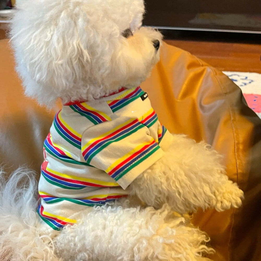 夏用 シンプルストライプ犬服 薄手 通気性抜群 トイ・プードル ビションフリーゼ ポメラニアン 子犬用 犬 服 犬 服 犬服 犬の服 ペット用品 ハーネス 小型犬