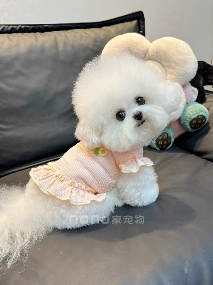 ペット猫 テディ かわいい 通気性の良い服 ビションフリーゼ 犬服 春夏新作 ワッフル 犬 服 犬の服 犬 洋服 犬の服夏 犬洋服