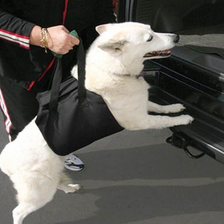 補助介護バッグ 犬ハーネス ドッググッズ犬服老犬中型大型犬zq 犬用品 犬バッグ