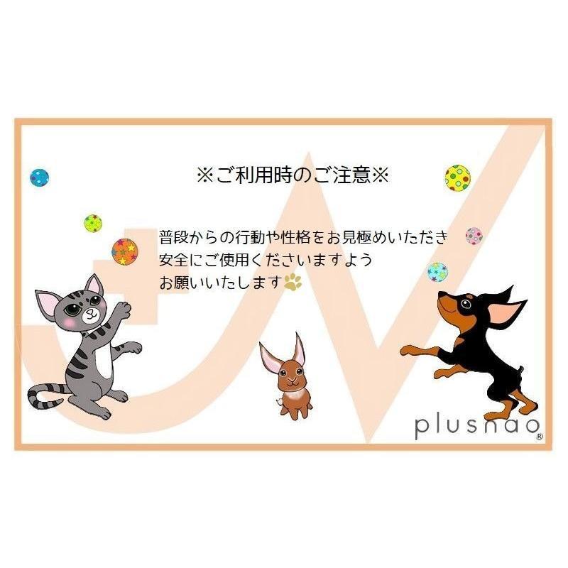 ペット ネコ チャーム 首輪 肉球 おしゃれ セーフティバックル かわいい 調節可能 猫 チョーカー 鈴付き 安全