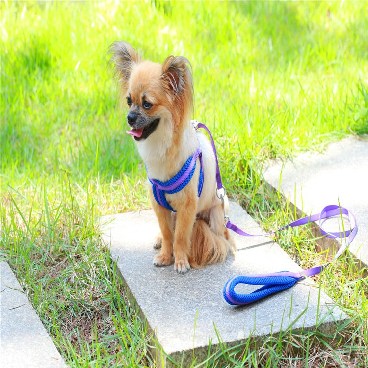 ハーネスリードセット お出かけ ネコ用ハーネス 犬 軽量 胴輪 ペット用品 55 2点セット リード 中型犬 小型犬 シンプル お散歩 犬用 ハーネス 簡単装着 リーシュ 犬用ハーネス 猫用 ペットハ