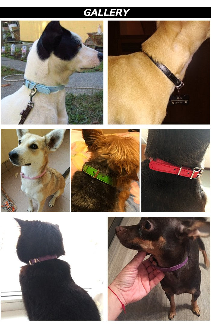犬 ドッグ ペット 猫 キャット 首輪 服 小型犬 ペットグッズ 中型犬 合皮 レザー