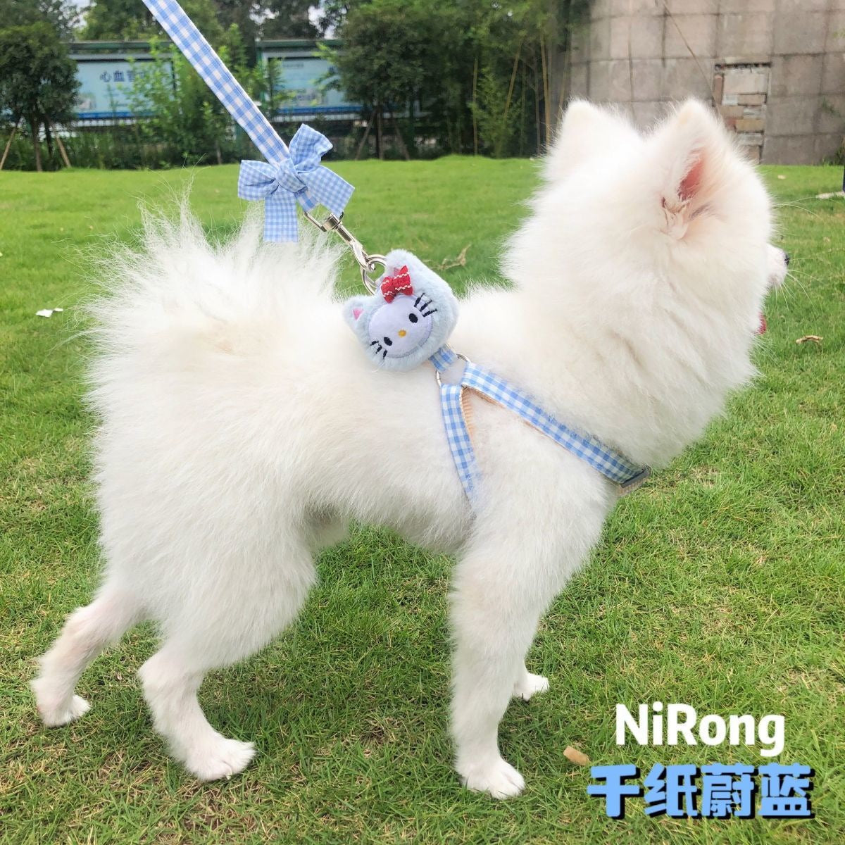 メガ割犬牽引ロープベスト式アニメ屋外散歩犬牽引ロープ小型中型犬犬チェーン犬ロープテディ博美973