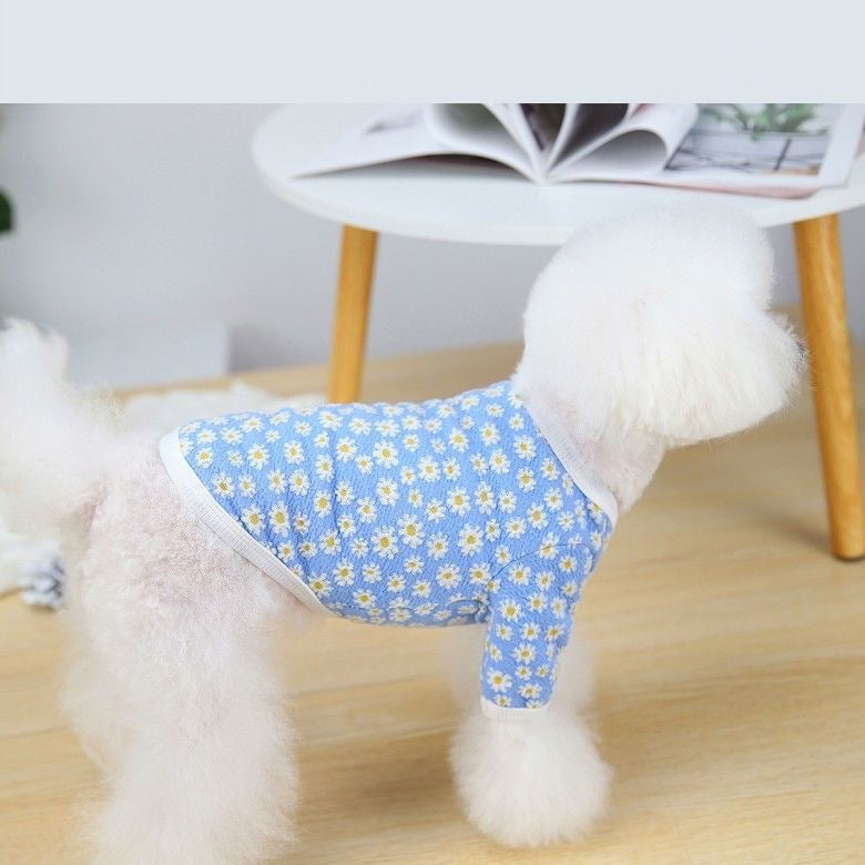 リトルデイジー カーディガン ペット 小型犬 テディ ビションフリーゼ ポメラニアン 犬 服 犬の服 犬 洋服 犬の服夏 犬洋服