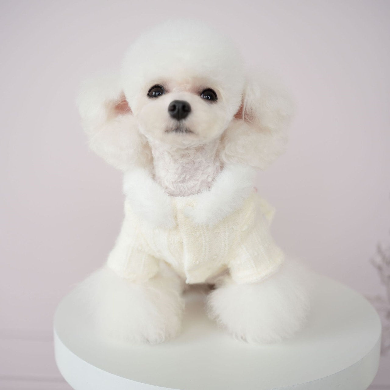 犬服ペット猫服かわいいソフトウールふくらませドレス快適ソフトもちもち冬居心地の良い暖かい服