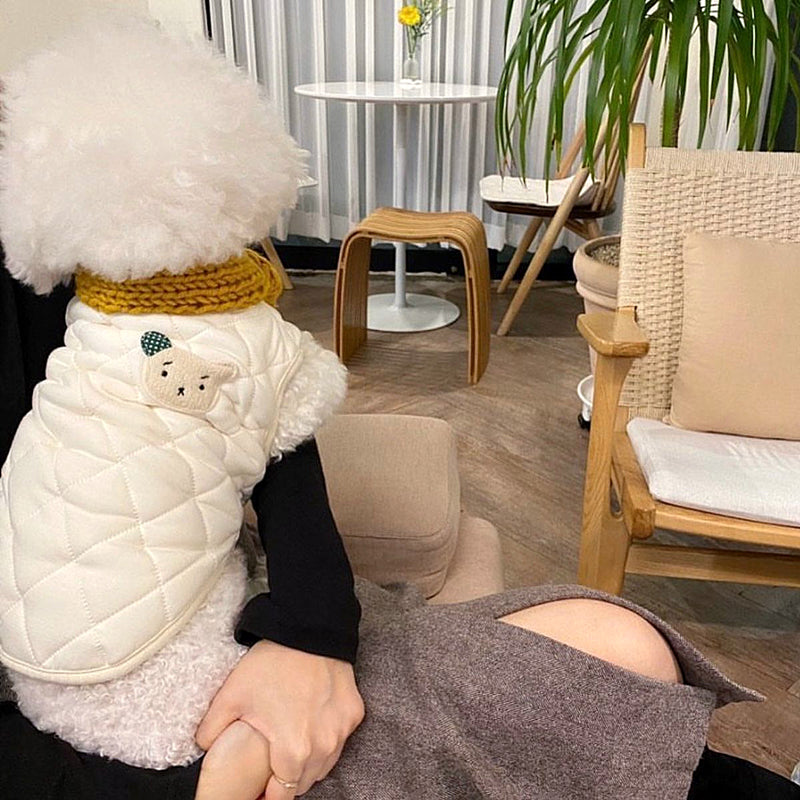 ペット服 犬の服 犬猫服 厚手 テディビーベア ヨークシャー 小中型犬 服 快適 ペット用品 犬用品 散歩 防寒 秋冬服