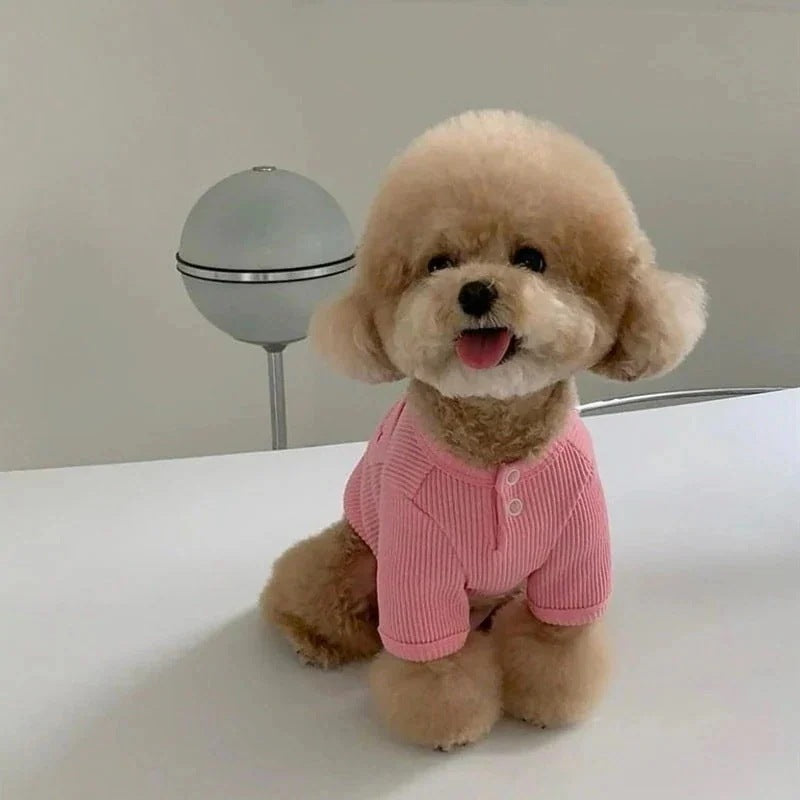 メガ割 3日で出荷新作 の犬服 テディボーミペットのコキシナレビーベア 暖かい可愛らしい 暖かい野球服 アウター