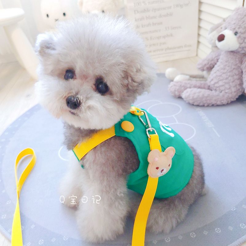 ペットの猫の小型犬のテディの犬の胸のストラップの牽引ロープのベスト式のドッグランの犬のひものかっこいいかわいい衝突色 メガ割ワンピースパンツトートバッグ