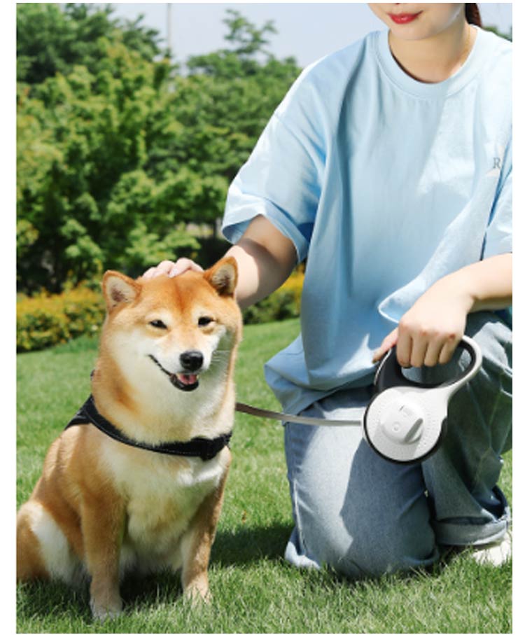 キャンペーン価格パフォーマンス犬用 5m ライト付き ペット巻き取り式 リード 3m ライト付き 伸縮リード 光る ロング 大型犬 中型犬 led ペット用品 反射 長い 散歩 ライト付 かわいい ス