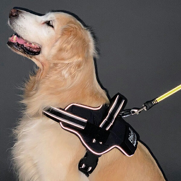 ペティオ 犬用胴輪 EthicalDoor エシカルドア イージーウェアハーネス L ブラック ゴールデンレトリーバーラブラドールレトリーバー等 大型犬用 犬具 胴輪 繊維 Petio W5609