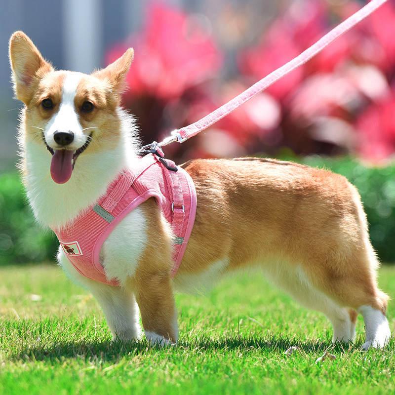 苦しくない ハーネスリード 脱げない 背中開き 犬 小型犬中型犬 高級秋冬物 4カラー おしゃれな