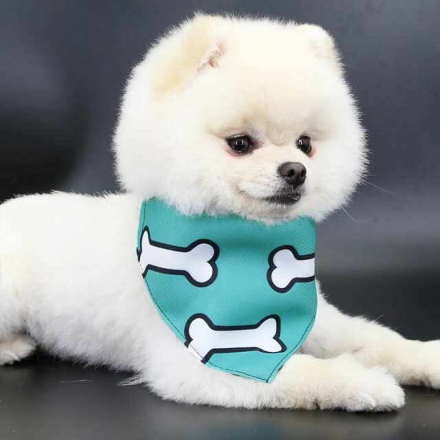 新作セール猫用 三角形 首輪 ペット用 犬用 よだれかけ スカーフ ドッグウェア ペット用品 エプロン かわいい おしゃれ 犬服 犬の服 調整可能 アクセサリー スタイ2025年