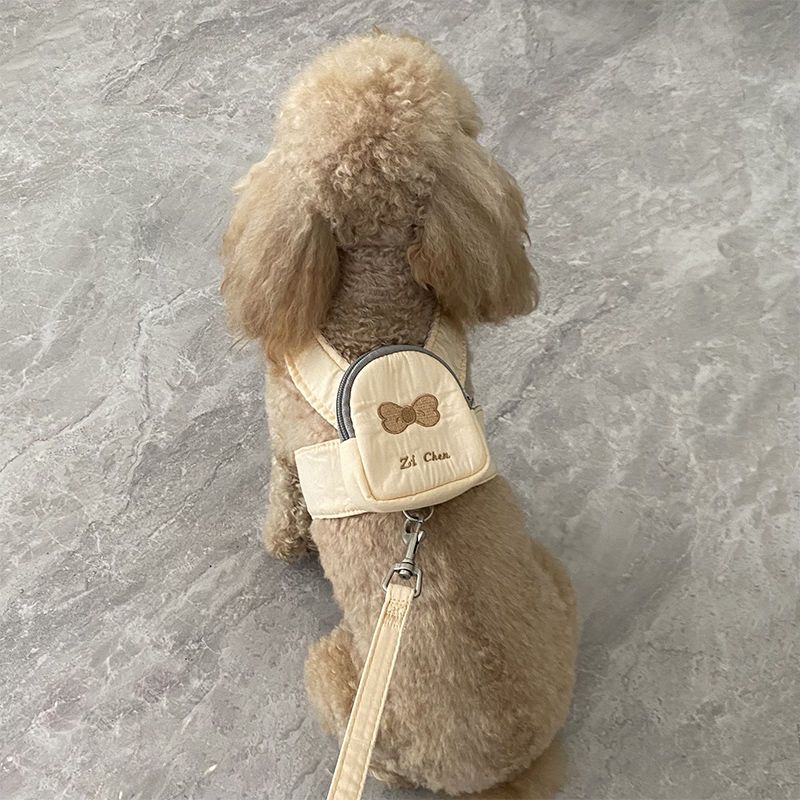 かわいいペットの犬はバックパックから散歩に出かけます
