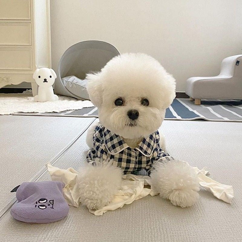 春 夏 犬用薄手パジャマ 子犬 ビションフリーゼ シュナウザー 猫 テディ・ウェア 犬 服 犬の服 犬 洋服 犬の服夏 犬洋服