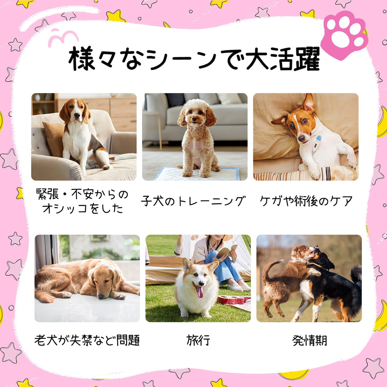 <a href="https://www.qoo10.jp/gmkt.inc/Search/brand.aspx?brandno=136149" target="_blank" class="title_brand" id="btn_brand" title="Japapet">Japapet</a>ペットオムツ 犬用オムツ 女の子用 5サイズ 4袋セット 42/38/36/34/32枚入 マナーおむつ ペット用おむつ 介護用 ペット用生理パンツ 長時間使用