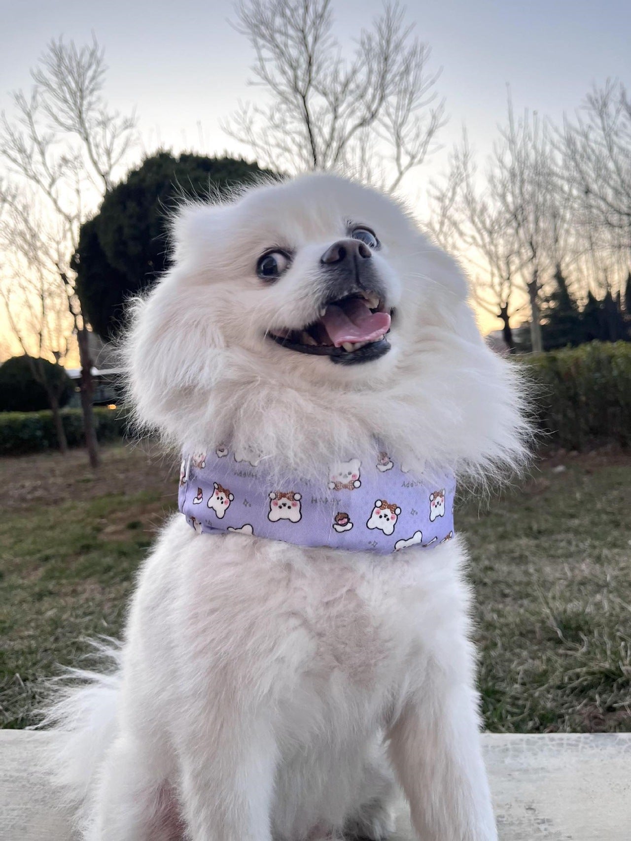 犬 クールベスト 保冷剤 付き 冷却ベスト 冷感ベスト 熱中症対策 ペット 服 ドッグ h0415