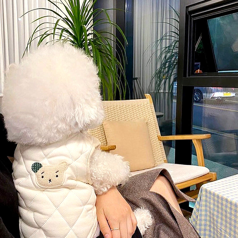 ペット服 犬の服 犬猫服 厚手 テディビーベア ヨークシャー 小中型犬 服 快適 ペット用品 犬用品 散歩 防寒 秋冬服