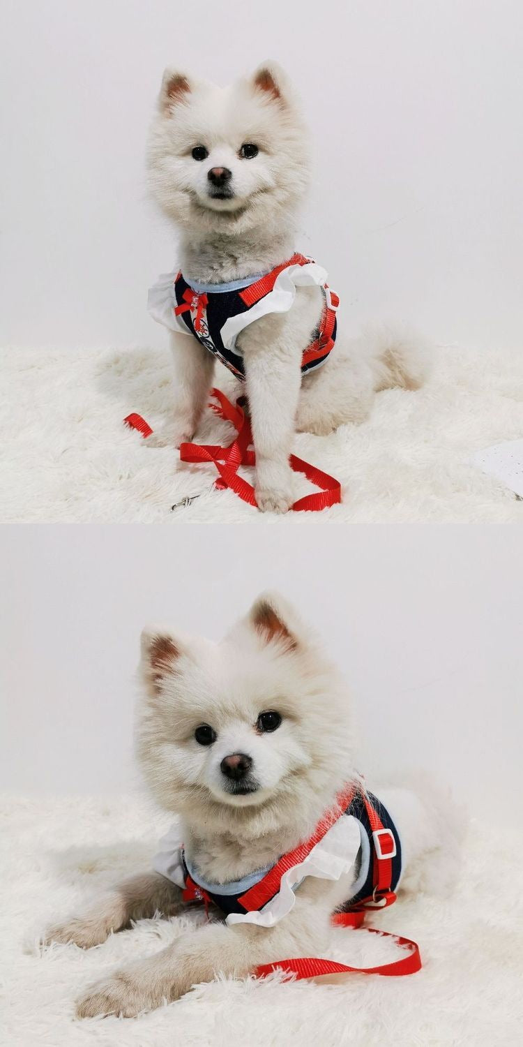 デニム風の犬の牽引紐のベスト式の飛袖の犬の牽引は胸のベルトのテディの熊の服を防ぎます メガ割ワンピースパンツトートバッグ