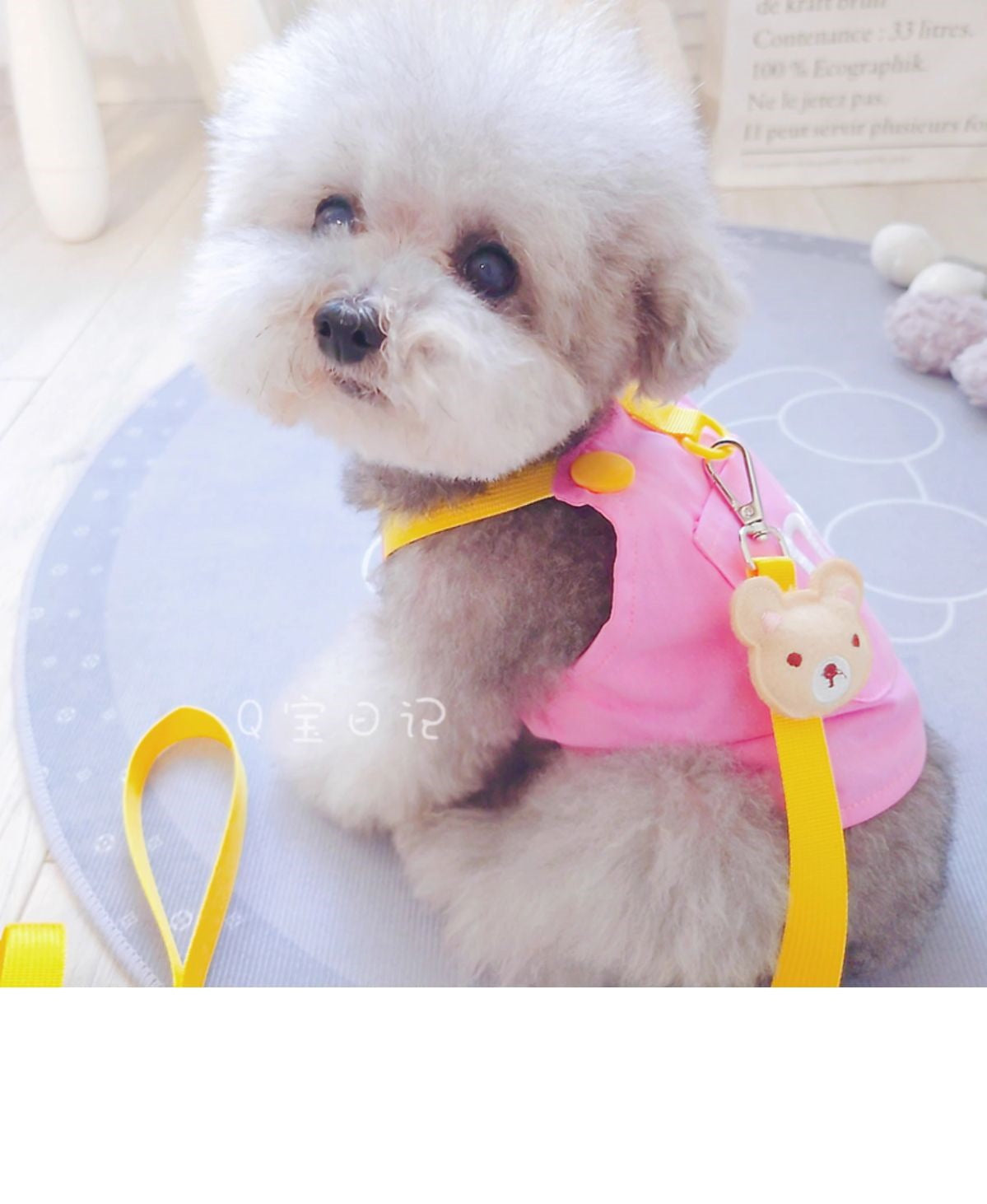 ペットの猫の小型犬のテディの犬の胸のストラップの牽引ロープのベスト式のドッグランの犬のひものかっこいいかわいい衝突色 メガ割ワンピースパンツトートバッグ